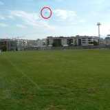 Altamura 17.09.2004 (insetto)